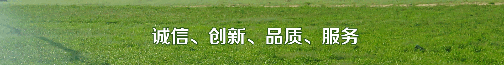 91水蜜桃在线观看係統