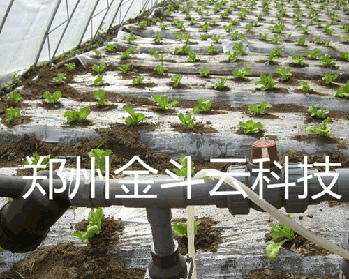 91水蜜桃在线观看係統