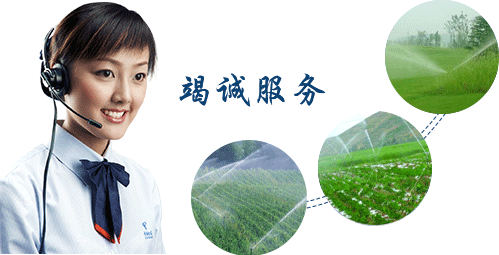  節水91水蜜桃在线观看