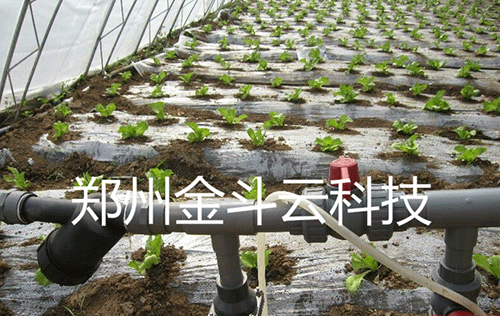 農業91水蜜桃在线观看