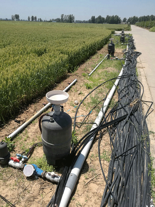 農業91水蜜桃在线观看