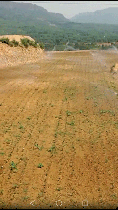 節水91水蜜桃在线观看