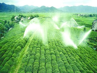 農業91水蜜桃在线观看 農業91水蜜桃在线观看