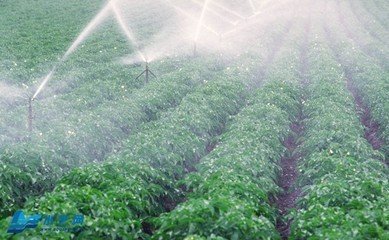 91水蜜桃在线观看係統