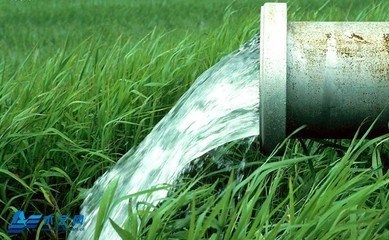  農業91水蜜桃在线观看廠家