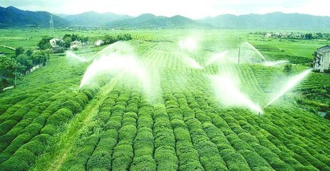 節水91水蜜桃在线观看